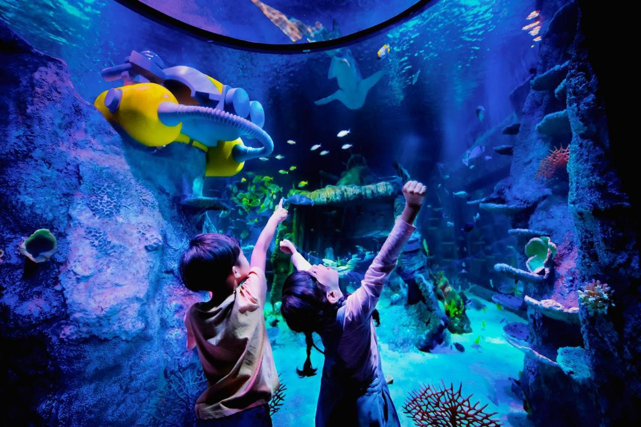 Legoland Malaysia Hotel Nusajaya  Exteriör bild Aquarium at the National Museum of Natural History